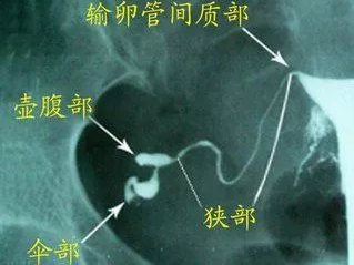 重慶送子鳥醫院