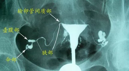 重慶送子鳥醫院