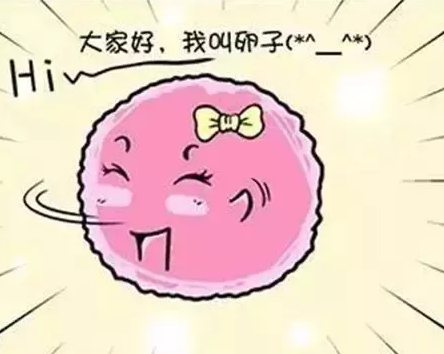 重慶送子鳥醫院