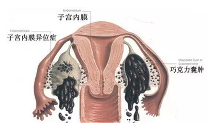 重慶送子鳥醫院