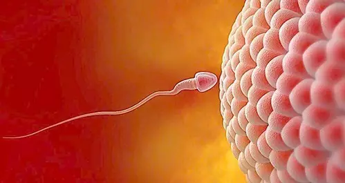 重慶送子鳥醫院