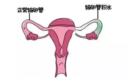 重慶送子鳥醫院