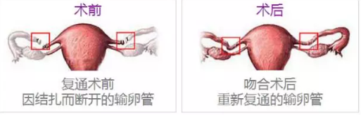 重慶送子鳥醫院