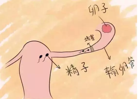 重慶送子鳥醫院