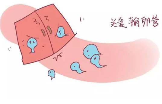 重慶送子鳥醫院