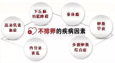 重慶送子鳥醫院