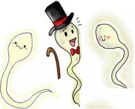 重慶送子鳥醫院