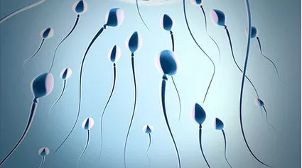 重慶送子鳥醫院