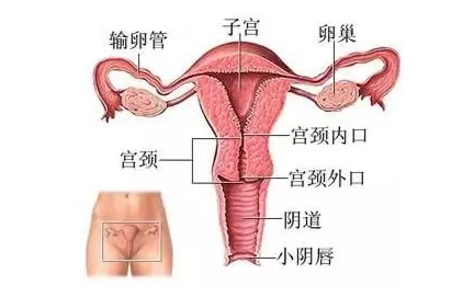 重慶送子鳥醫院