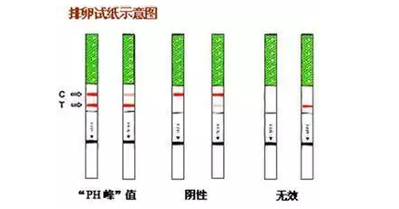 重慶送子鳥醫院