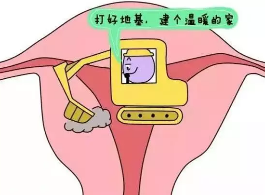 重慶送子鳥醫院