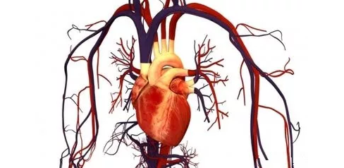 重慶送子鳥醫院