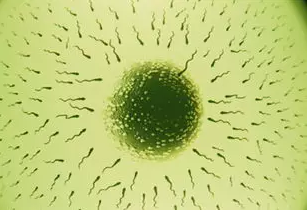 重慶送子鳥醫院