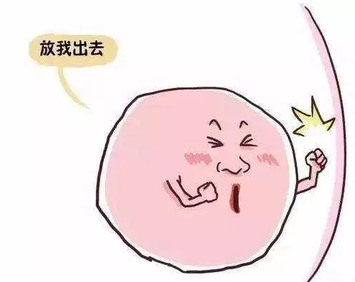 重慶送子鳥醫院