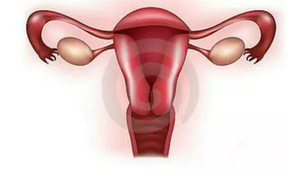 重慶送子鳥醫院