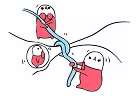 重慶送子鳥醫院