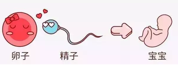 重慶送子鳥醫院,排卵障礙