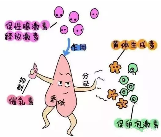 重慶送子鳥醫院