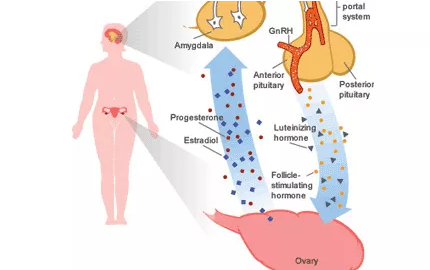 重慶送子鳥醫院