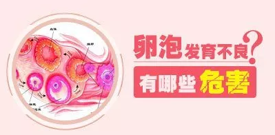 重慶送子鳥醫院