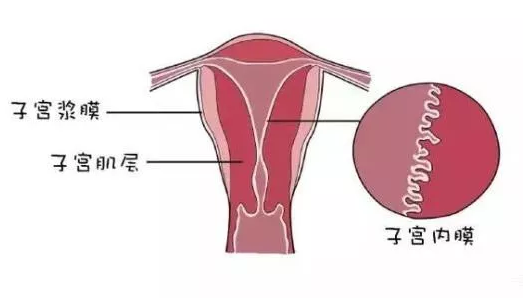 重慶送子鳥醫院