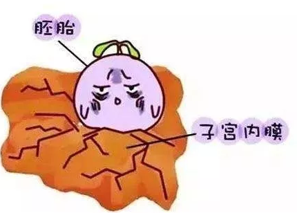 重慶送子鳥醫院