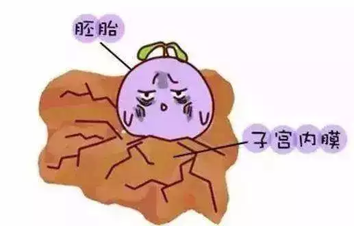 重慶送子鳥醫院