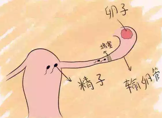 重慶送子鳥醫院