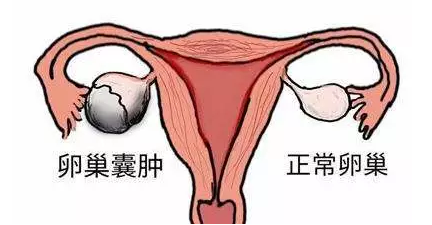 重慶送子鳥醫院