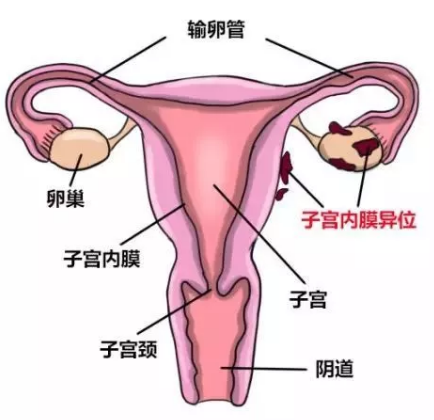 重慶送子鳥醫院