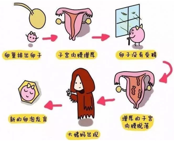 重慶送子鳥醫院