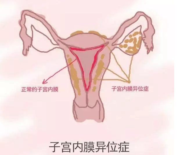 重慶送子鳥醫院